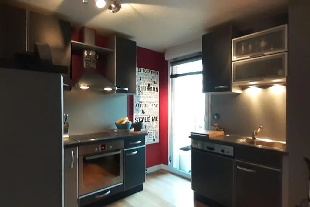 Appartement centre ville, Parc Olympe de Gouges Annemasse France